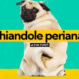 Un carlino guarda indietro, con la scritta "Ghiandole perianali" in evidenza.