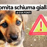 Cucciolo preoccupato accanto a vomito giallo e un segnale di pericolo.