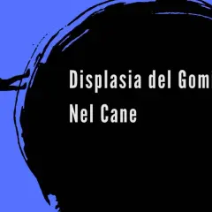 Silhouette di cane con testo "Displasia del Gomito Nel Cane". Informazioni sui sintomi.