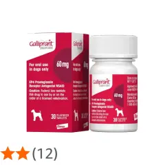 Confezione di Galliprant 60 mg per cani. Le recensioni positive indicano che è un farmaco efficace.