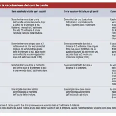 Table showing dog vaccination guidelines, including vaccine types, schedules, and comments.