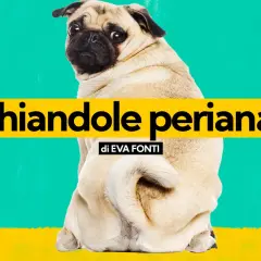 Un carlino guarda indietro, con la scritta "Ghiandole perianali" in evidenza.