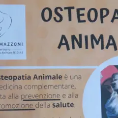 Martina Mazzoni, esperta osteopata cani, offre osteopatia animale per la salute dei vostri amici a quattro zampe.