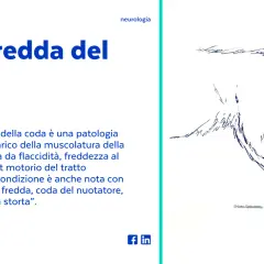 Disegno di un cane con la "coda fredda", una patologia che causa flaccidità e freddezza alla coda.