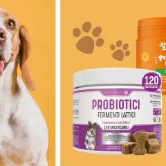 Cani felici con probiotici per cani a cosa servono: migliorano digestione e benessere.