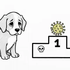 Cagnolino triste guarda un podio con un virus al primo posto e teschi ai lati. Forse cerca un antibiotico per cimurro cane.