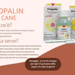 Propalin per cani, un farmaco per l'incontinenza urinaria. Utile per le femmine, con dosaggio specifico.