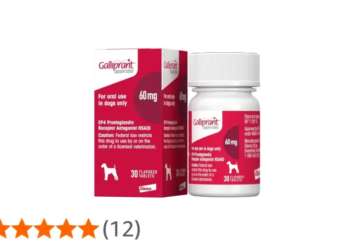 Confezione di Galliprant 60 mg per cani. Le recensioni positive indicano che è un farmaco efficace.
