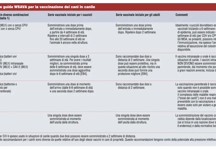 Table showing dog vaccination guidelines, including vaccine types, schedules, and comments.