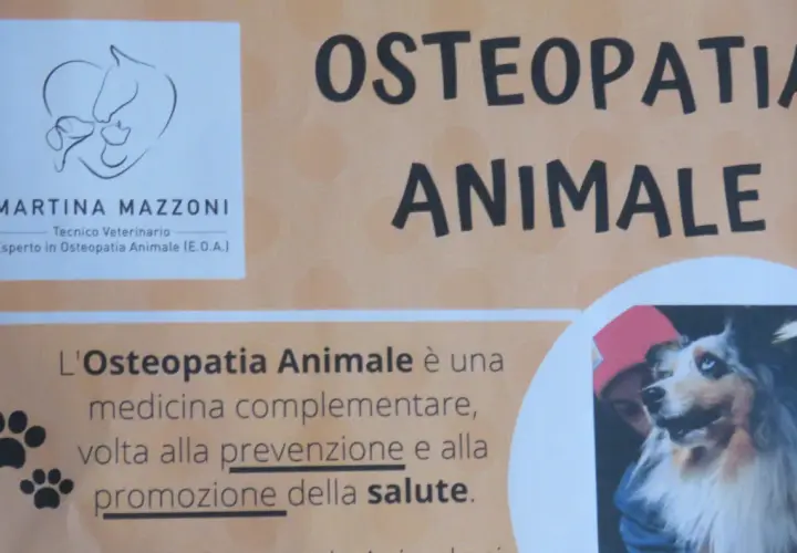 Martina Mazzoni, esperta osteopata cani, offre osteopatia animale per la salute dei vostri amici a quattro zampe.