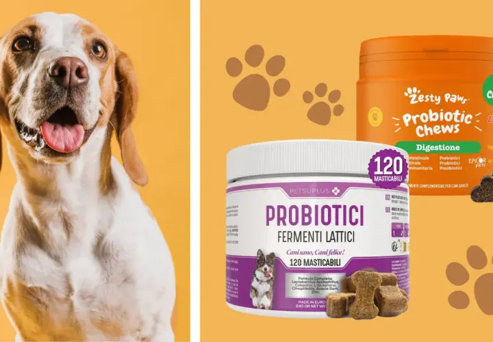 Cani felici con probiotici per cani a cosa servono: migliorano digestione e benessere.