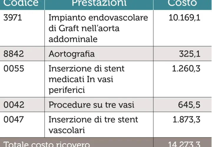 Tabella costi: impianto endovascolare aorta 10.169,1€, aortografia 325,1€, stent medicati 1.260,3€, procedure 3 vasi 645,5€, 3 stent vascolari 1.873,3€. Totale 14.273,3€.
