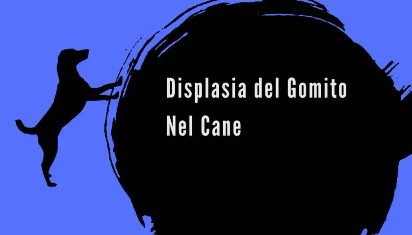 Silhouette di cane con testo "Displasia del Gomito Nel Cane". Informazioni sui sintomi.