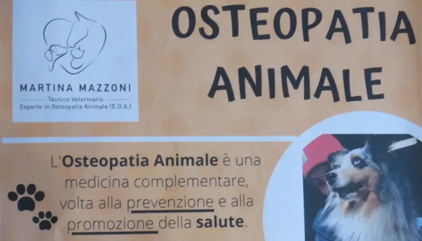 Martina Mazzoni, esperta osteopata cani, offre osteopatia animale per la salute dei vostri amici a quattro zampe.