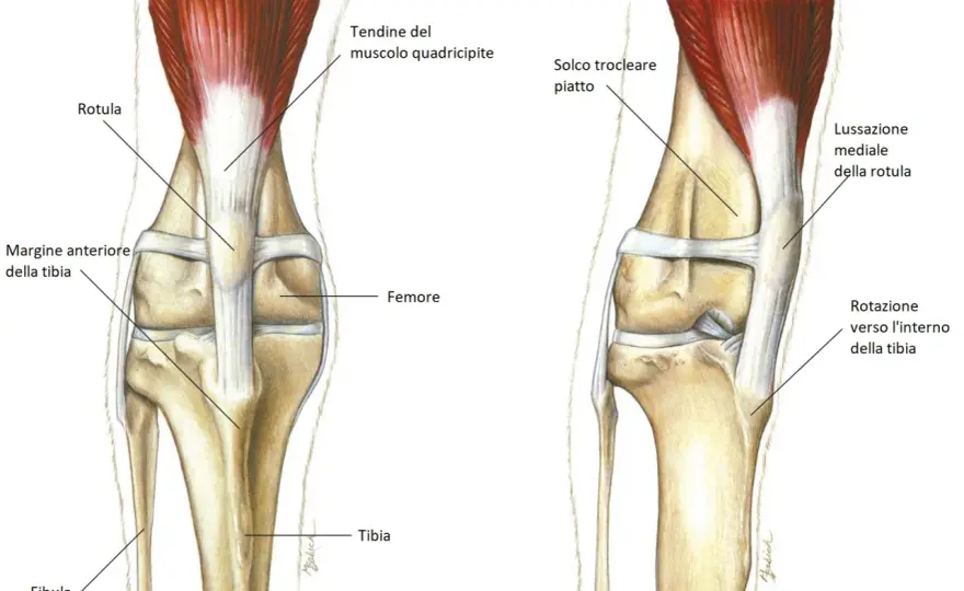Lussazione ginocchio cane - Urgenza? Guida completa
