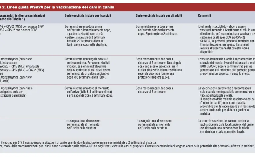 Vaccinazioni Cane - Guida Completa per una Protezione Efficace