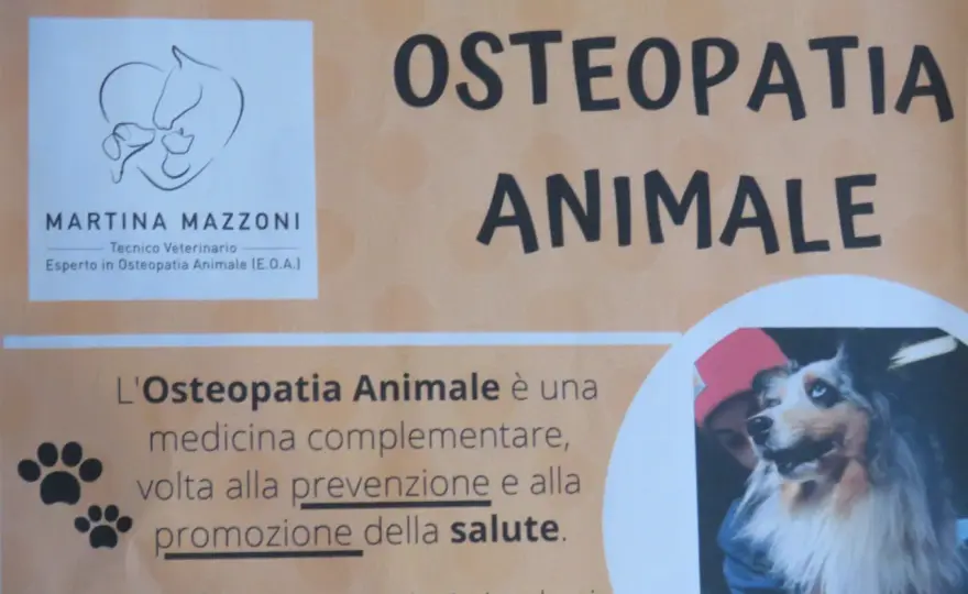 Osteopatia per cani - Funziona davvero? La guida completa