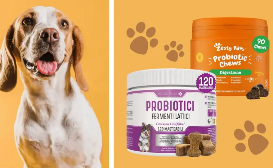 Probiotici per cani - Quando usarli e come scegliere il migliore?