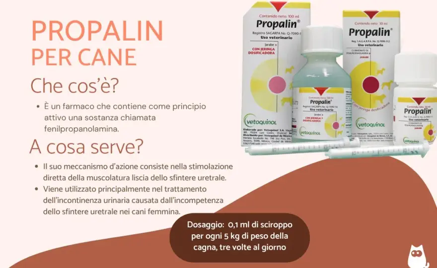 Rimadyl per il cane - dose, rischi e uso sicuro