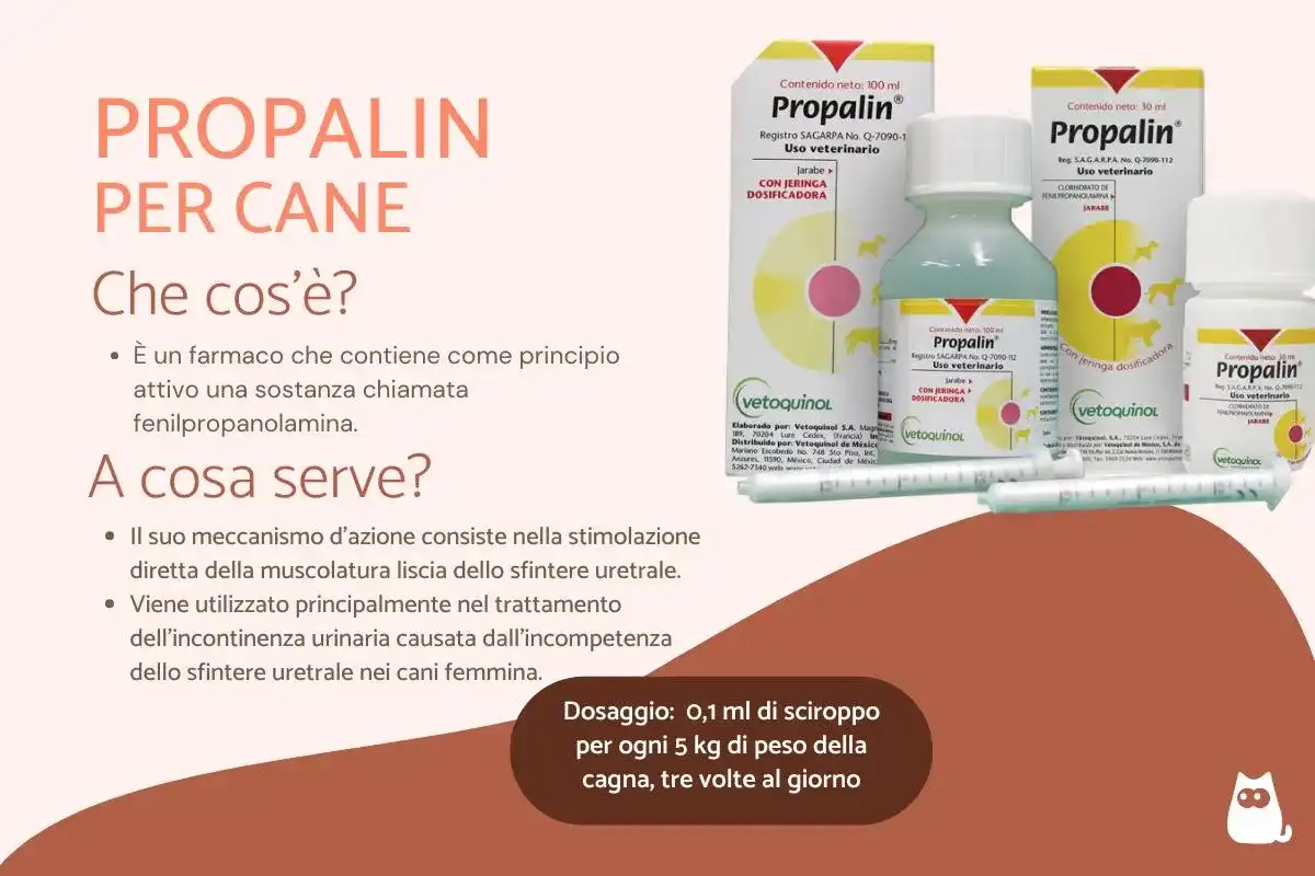 Rimadyl per il cane - dose, rischi e uso sicuro