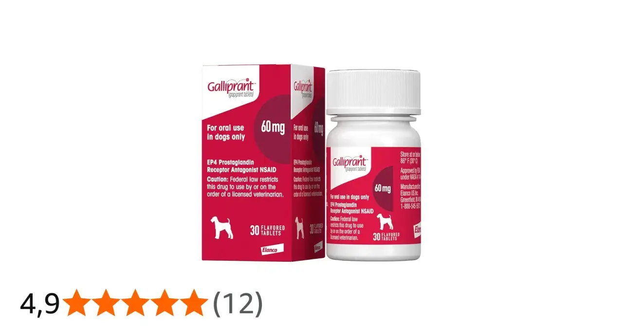 Confezione di Galliprant 60 mg per cani. Le recensioni positive indicano che è un farmaco efficace.