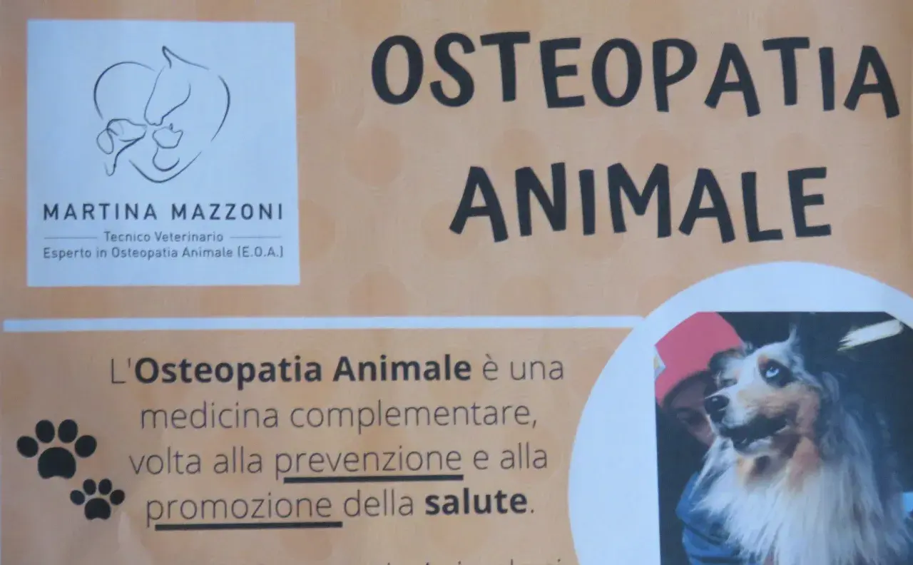 Martina Mazzoni, esperta osteopata cani, offre osteopatia animale per la salute dei vostri amici a quattro zampe.