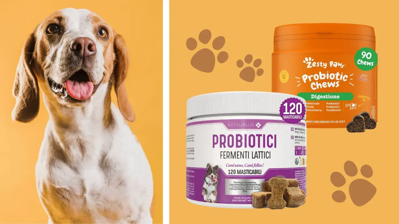 Cani felici con probiotici per cani a cosa servono: migliorano digestione e benessere.