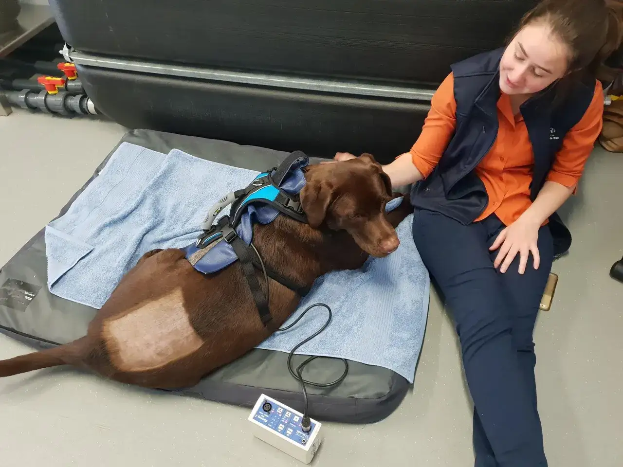 Un cane marrone con un'imbracatura blu &egrave; sdraiato su un tappetino. Una donna in camicia arancione e gilet blu gli accarezza la testa. Si nota un'area rasata sul fianco del cane, forse legata a un trauma alla colonna vertebrale e ai suoi sintomi.