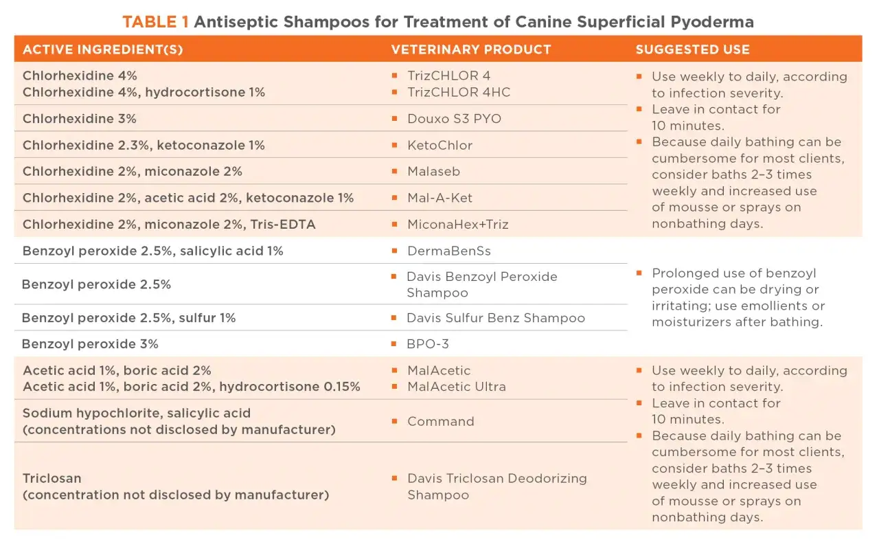 Tabella con ingredienti attivi e usi consigliati per shampoo per cani, utile per trattare un'infezione cutanea.