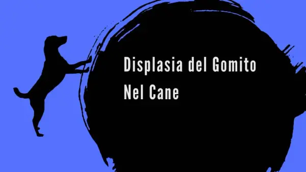 Silhouette di cane con testo "Displasia del Gomito Nel Cane". Informazioni sui sintomi.